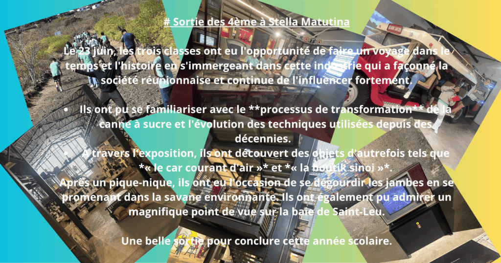 Souvenirs de la sortie scolaire au musée Stella Matutina